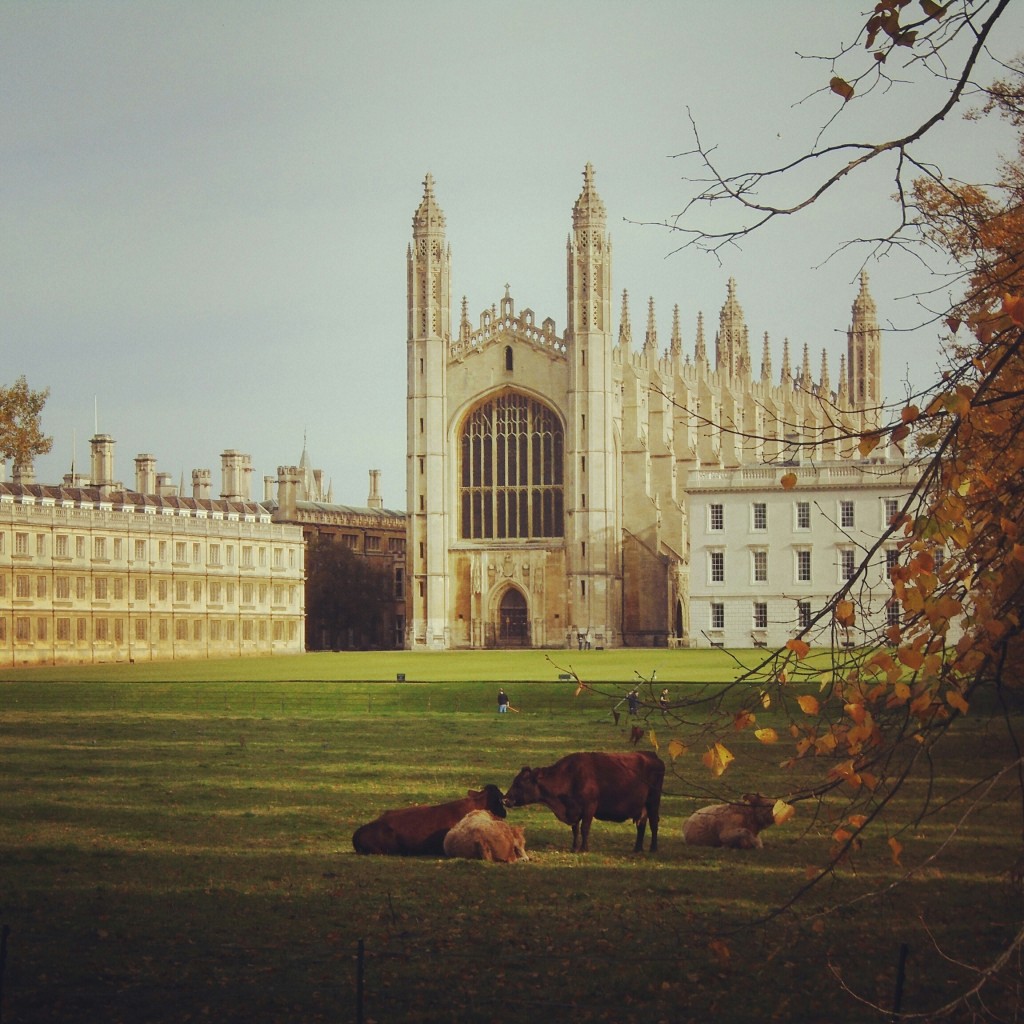 Colleges and Museums in Cambridge