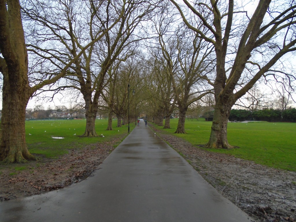 Nature Walks