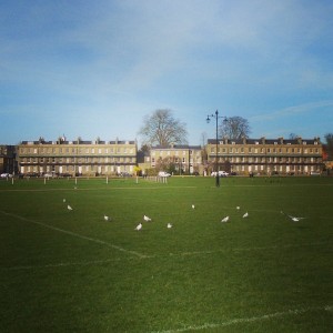 things to do in cambridge